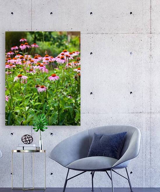 FlowersPlants 43 Reproduction