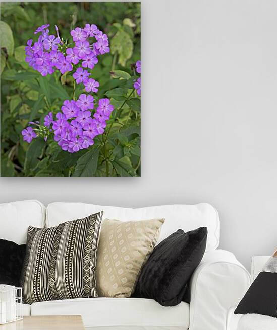 FlowersPlants 46 Reproduction