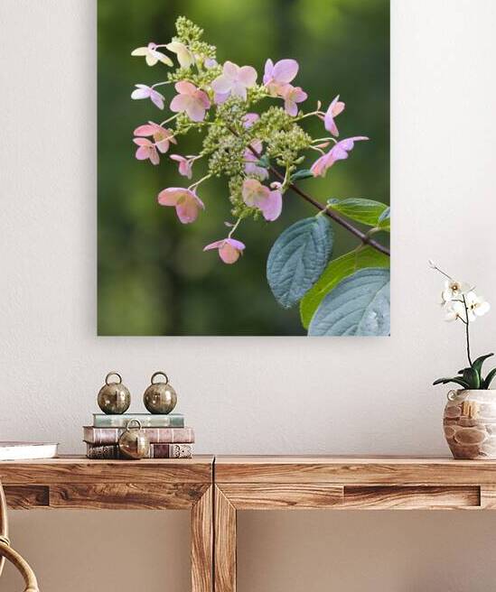 FlowersPlants 52 Reproduction