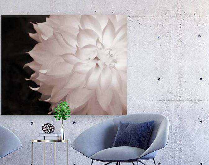 FlowersPlants 55 Reproduction