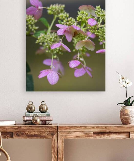 FlowersPlants 56 Reproduction