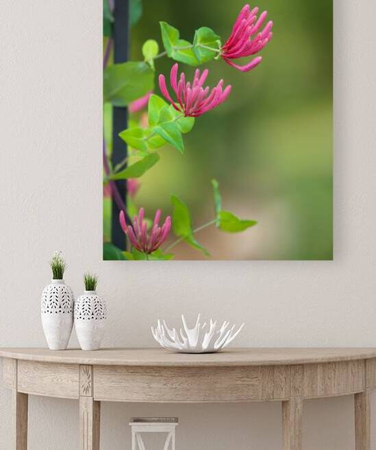 FlowersPlants 61 Reproduction