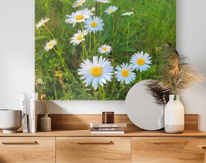 FlowersPlants 66 Reproduction