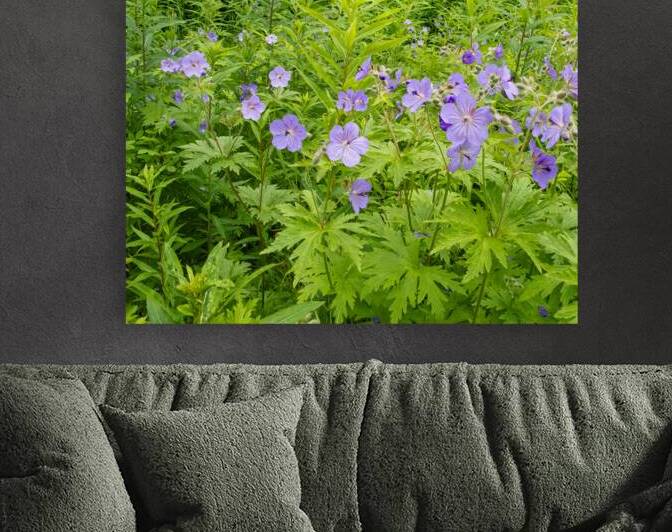 FlowersPlants 73 Reproduction