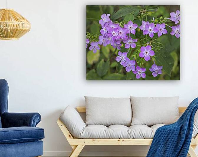 FlowersPlants 80 Reproduction