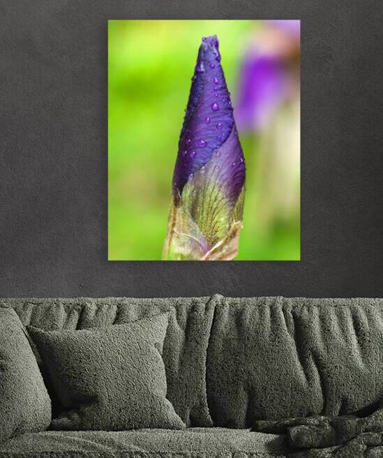 FlowersPlants 83 Reproduction