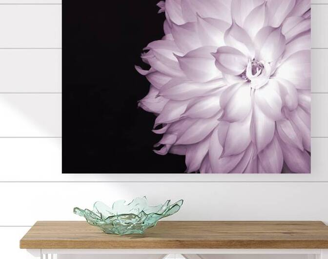 FlowersPlants 86 Reproduction