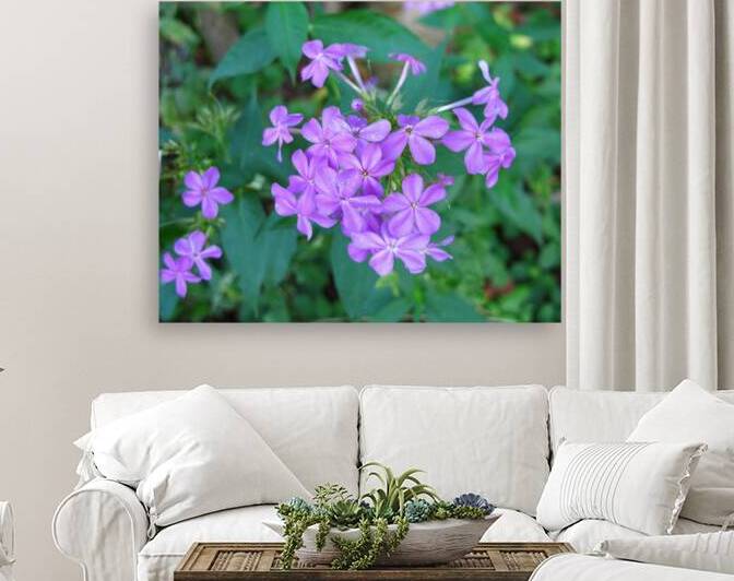 FlowersPlants 88 Reproduction