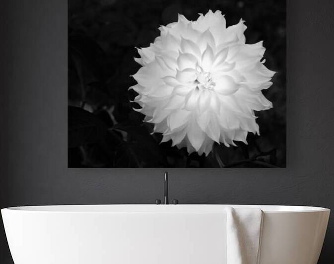 FlowersPlants 91 Reproduction