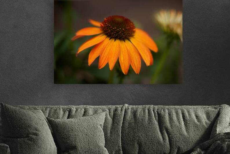 FlowersPlants 93 Reproduction