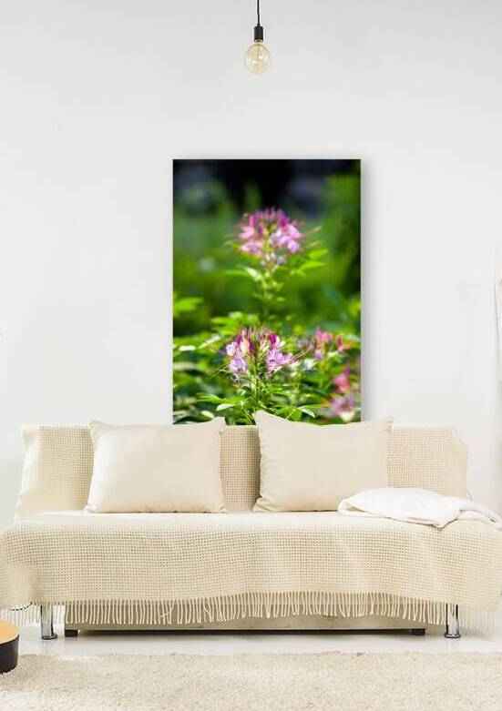FlowersPlants 94 Reproduction