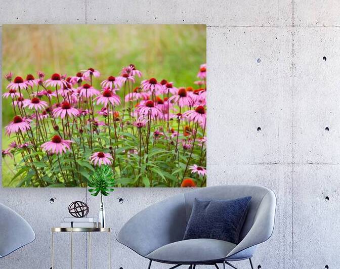 FlowersPlants 96 Reproduction