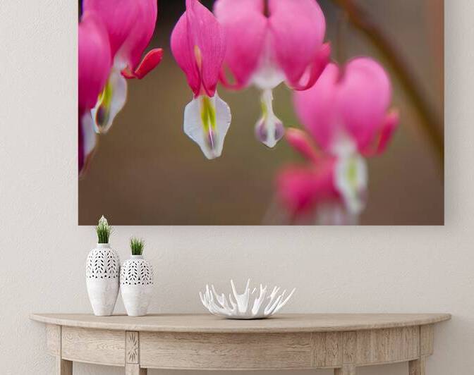 FlowersPlants 98 Reproduction