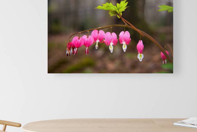 FlowersPlants 121 Reproduction