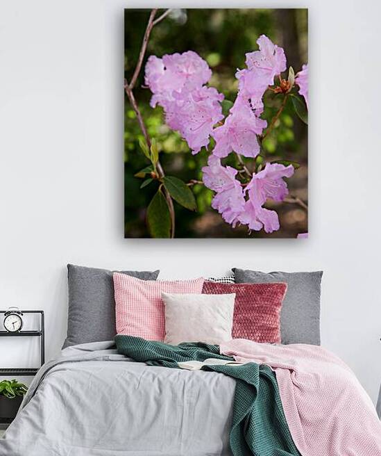 FlowersPlants 128 Reproduction