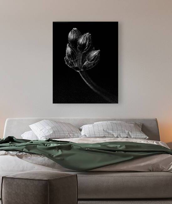 FlowersPlants 137 Reproduction