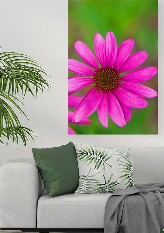 FlowersPlants 139 Reproduction