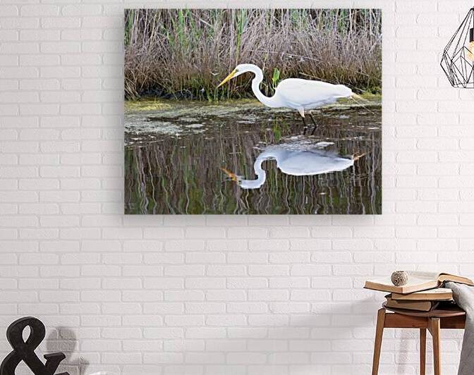 Birds 59 Reproduction