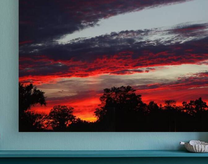 SunriseSunset 51 Reproduction