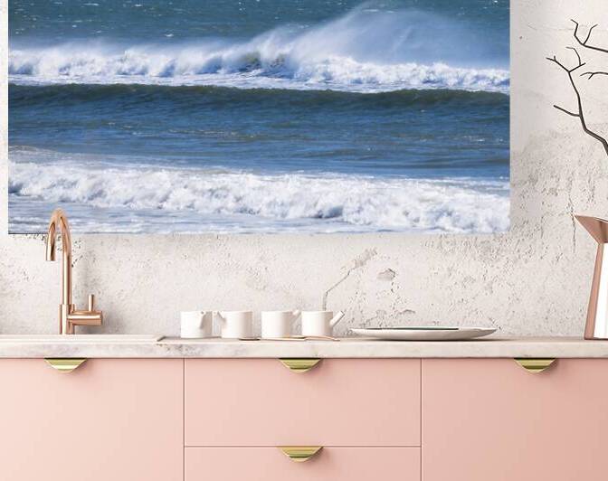 Coastal 3 Reproduction