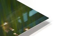 Green Streak  1 HD Metal print