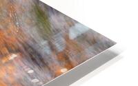 Rock in Stream  1 HD Metal print
