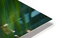 Green Streak  2 HD Metal print