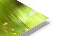 Green Abstract HD Metal print