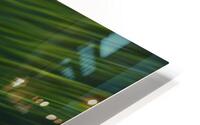 Green Streak  3 HD Metal print