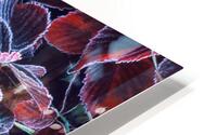 Frost Abstract  3 HD Metal print