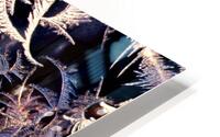 Frost Abstract  1 HD Metal print