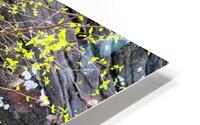 Abstract Close Up Paint 5 HD Metal print
