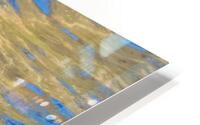 Waterfowl 6 HD Metal print
