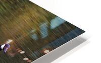 Waterfowl 7 HD Metal print