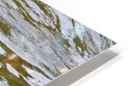 Waterfowl 16 HD Metal print