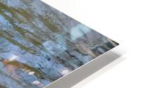 Waterfowl 21 HD Metal print