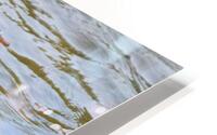 Waterfowl 51 HD Metal print