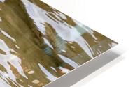 Waterfowl 54 HD Metal print