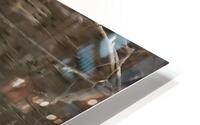 Waterfowl 59 HD Metal print