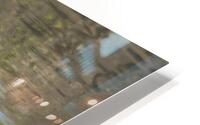 Waterfowl 110 HD Metal print