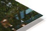Waterfowl122 HD Metal print