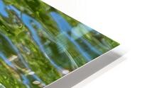 Waterfowl 125 HD Metal print