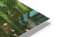 Waterfowl 137 HD Metal print