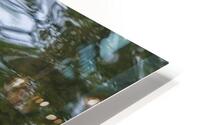 Waterfowl 151 HD Metal print