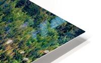 Alaska 5 HD Metal print