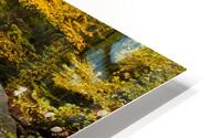 West Virginia 45 HD Metal print