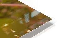 Abstract  38 HD Metal print