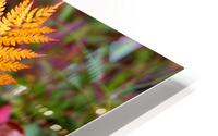 Abstract  46 HD Metal print