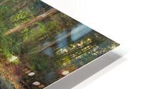 Water  2 HD Metal print