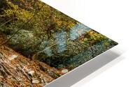 Water  5 HD Metal print